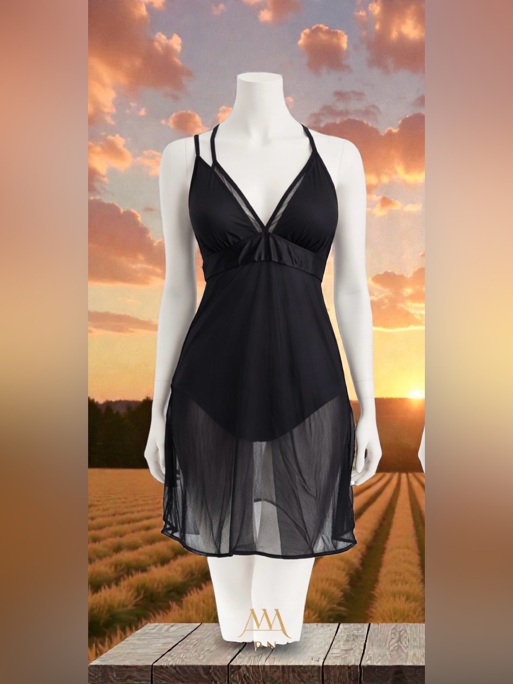 Black Mesh One-Piece Swimdress with Double-Strap V-Neck